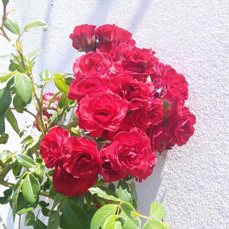 Herdade Do Azinhal 旧圣克拉拉 外观 照片